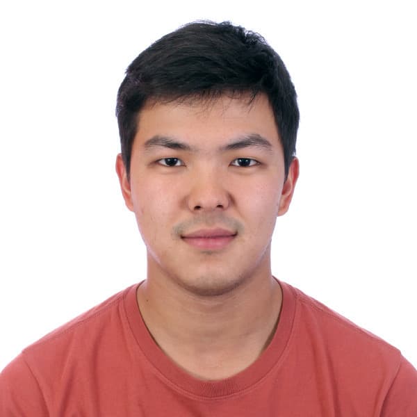 Developer